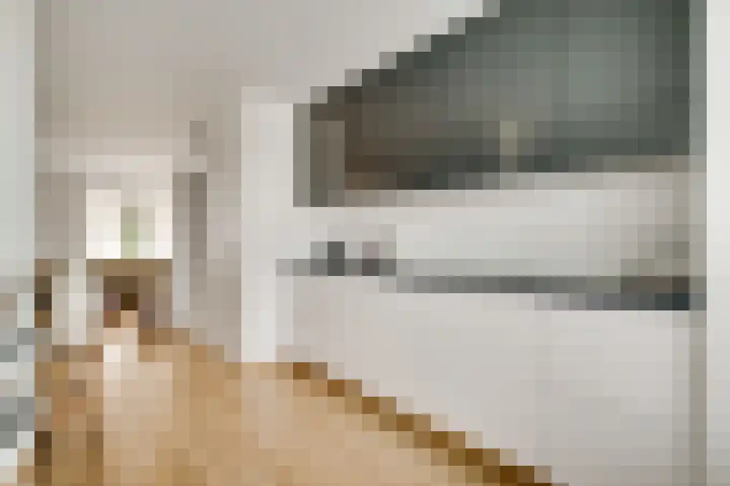 Haverhegge 18 Maastricht thumbnail 8