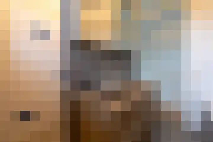 Haverhegge 26 Maastricht thumbnail 21