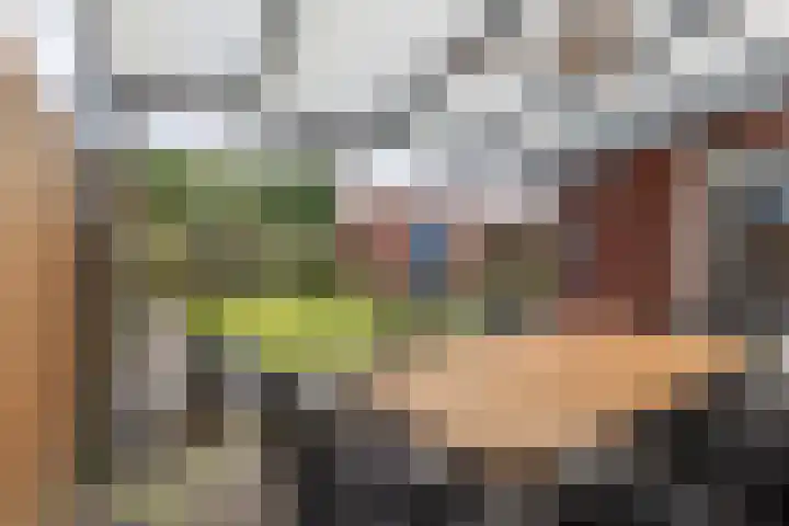 Haverhegge 26 Maastricht thumbnail 24