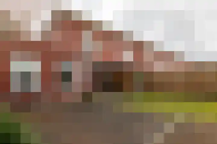 Haverhegge 26 Maastricht thumbnail 26