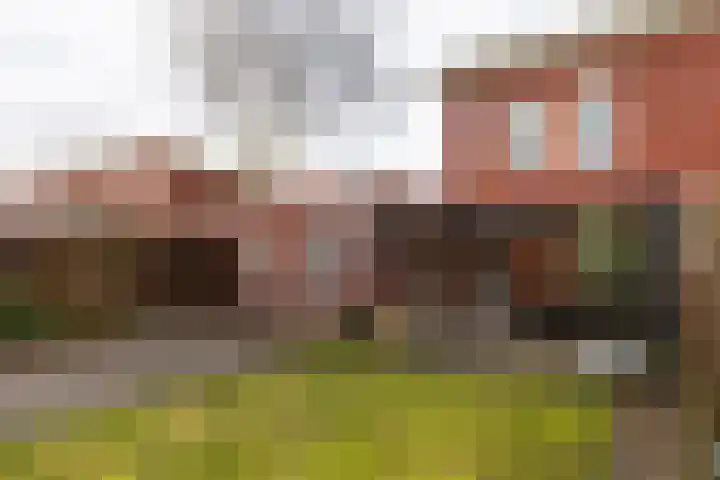 Haverhegge 26 Maastricht thumbnail 27
