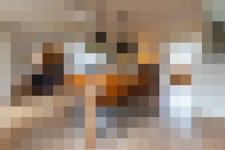 Haverhegge 26 Maastricht thumbnail 8