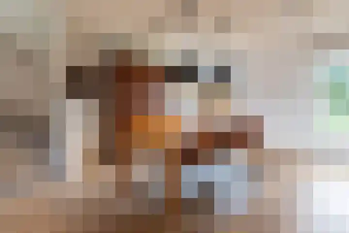 Haverhegge 26 Maastricht thumbnail 9