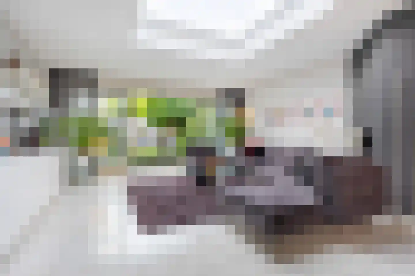 Haverhoeve 2 Vught thumbnail 13