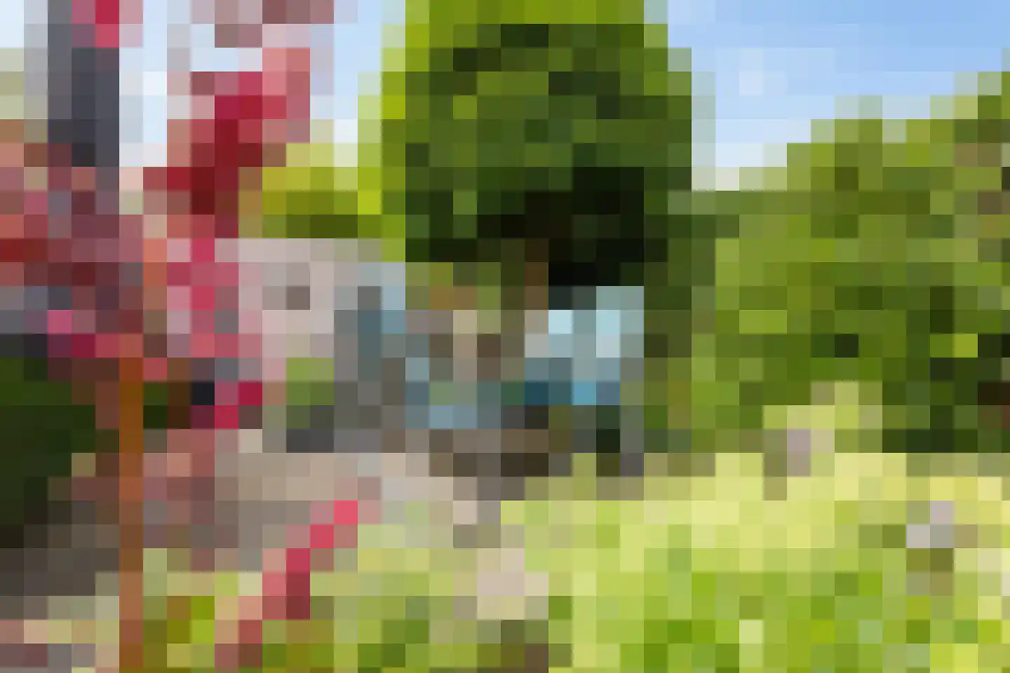 Haverhoeve 2 Vught thumbnail 43