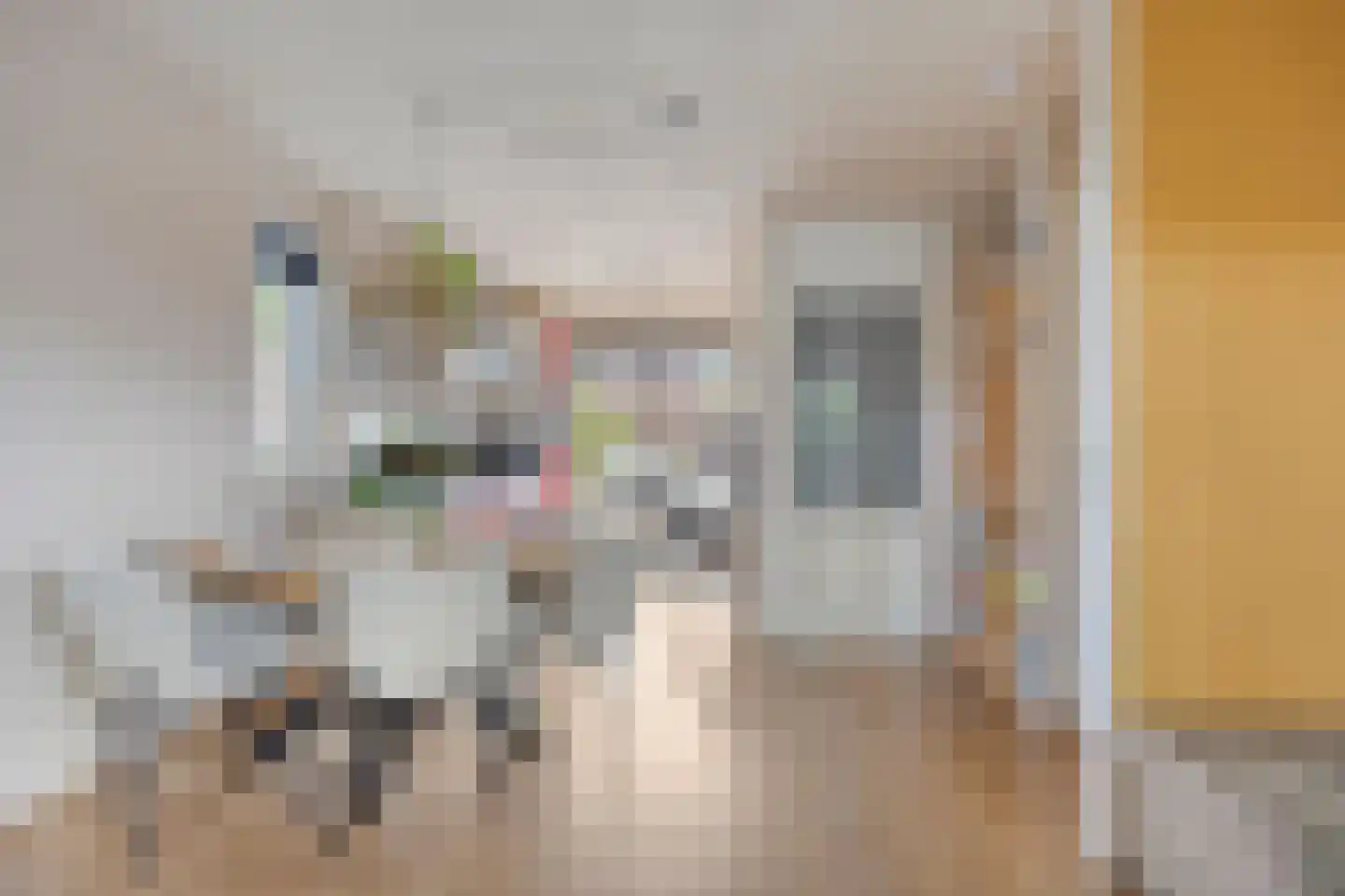 Haverhof 21 Tilburg thumbnail 14