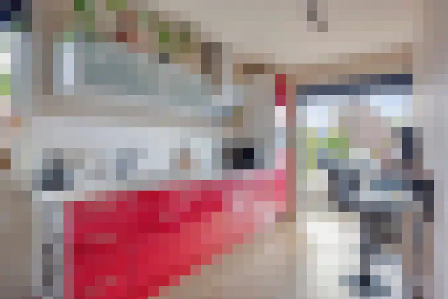 Haverhof 21 Tilburg thumbnail 7