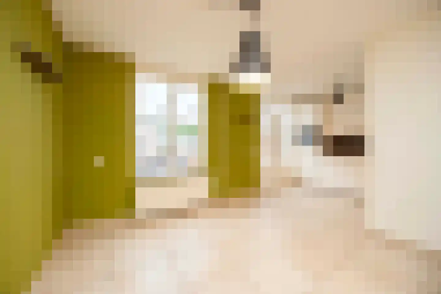 Haverhof 23 Oirschot thumbnail 14
