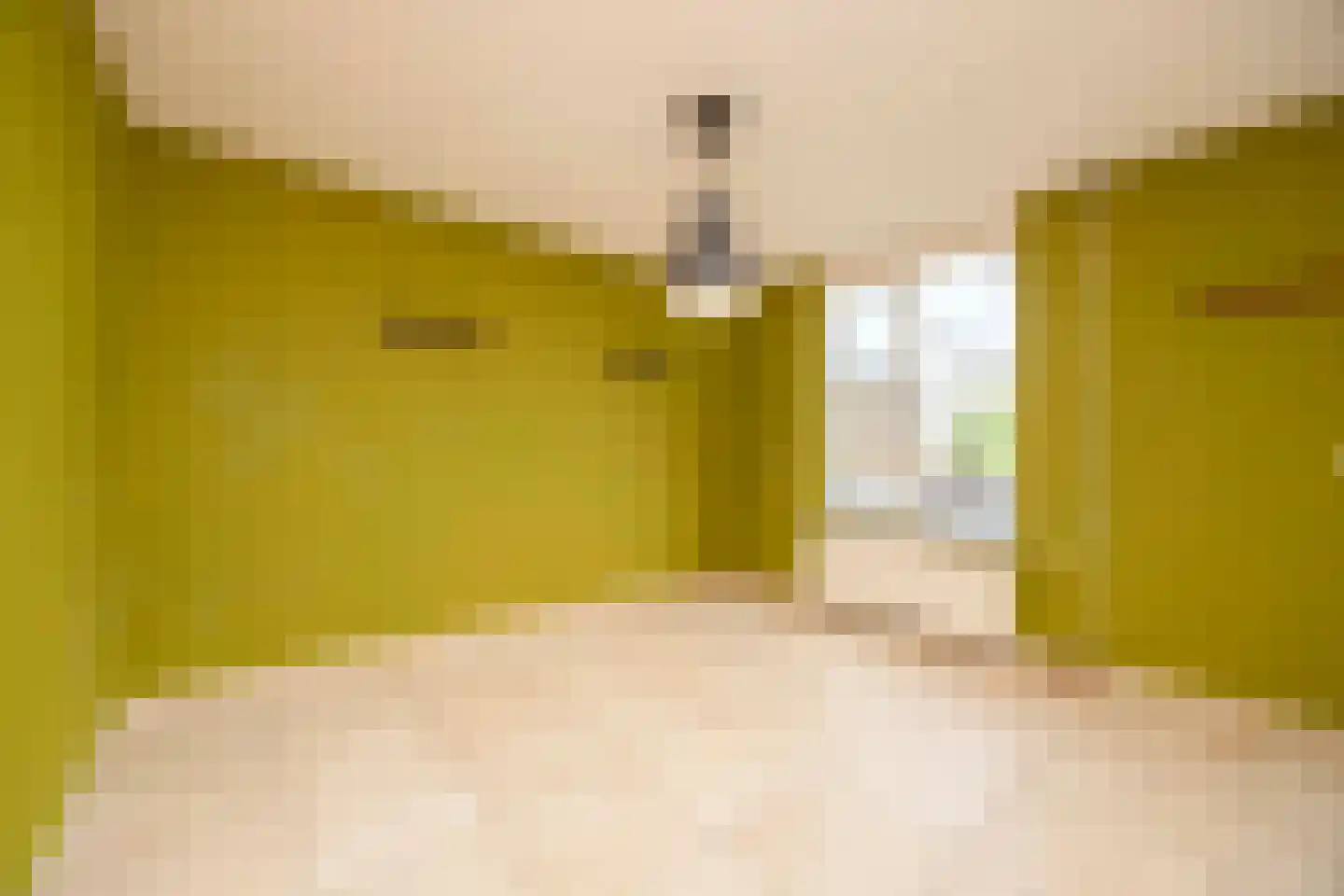Haverhof 23 Oirschot thumbnail 15