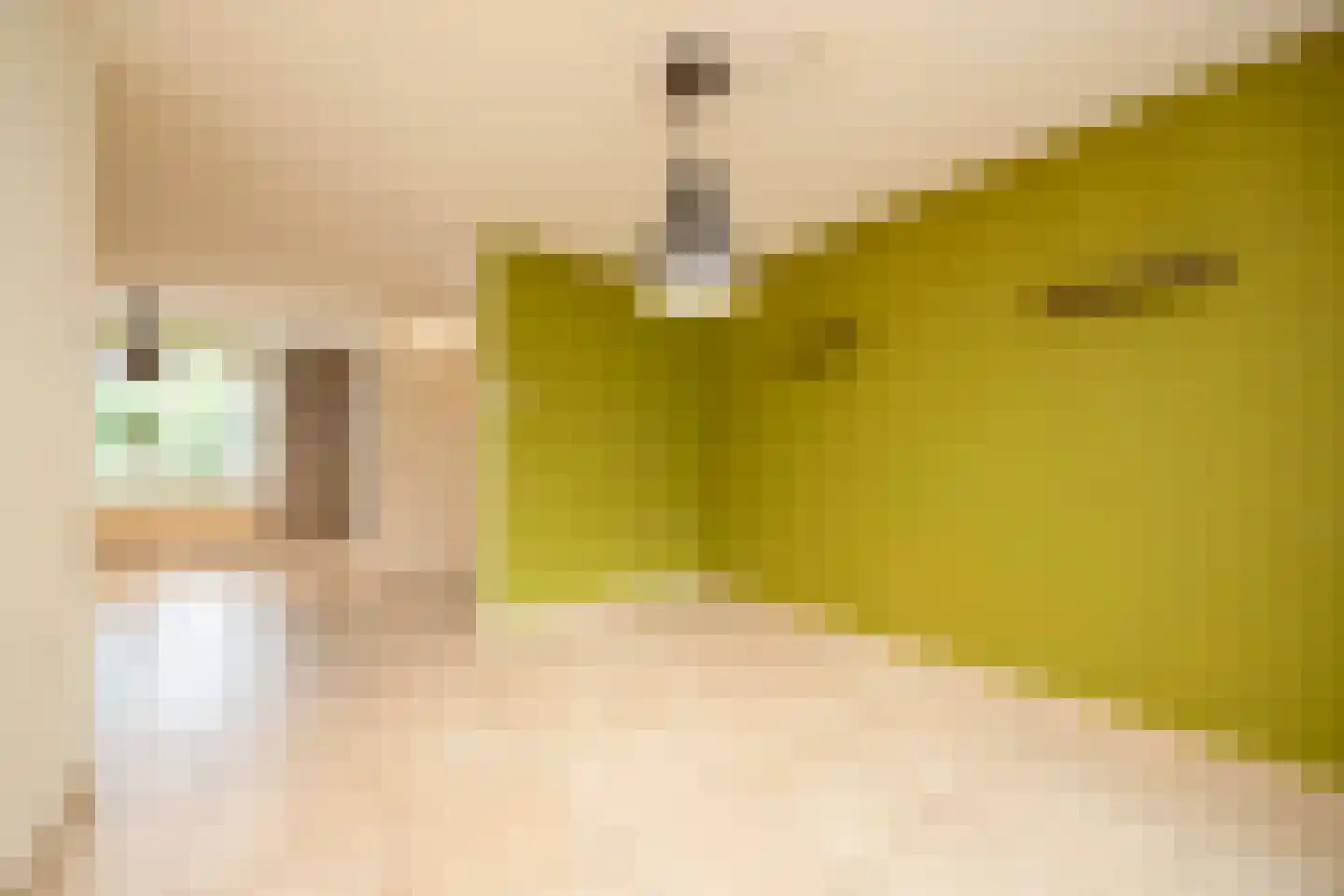 Haverhof 23 Oirschot thumbnail 16