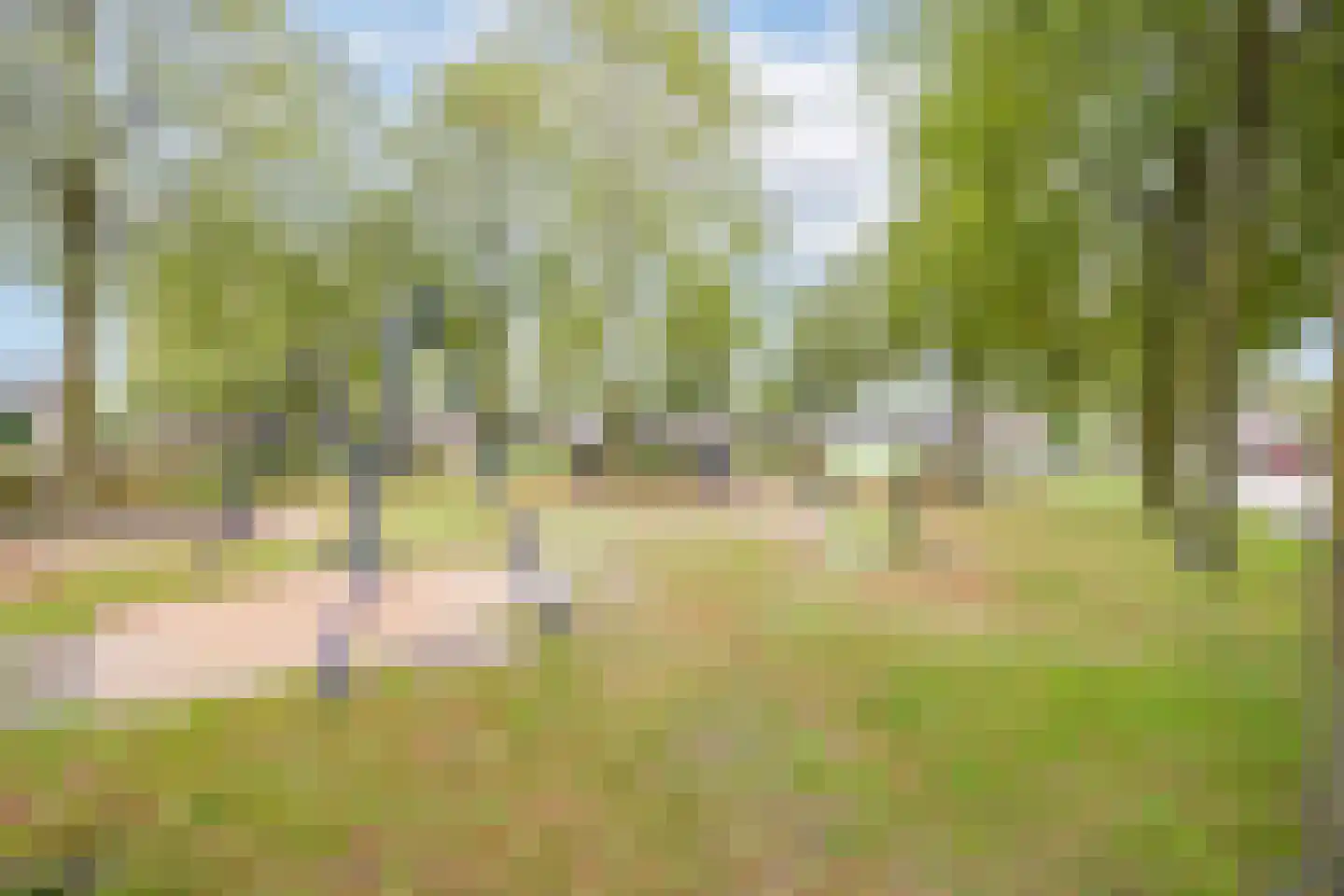 Haverhof 23 Oirschot thumbnail 49