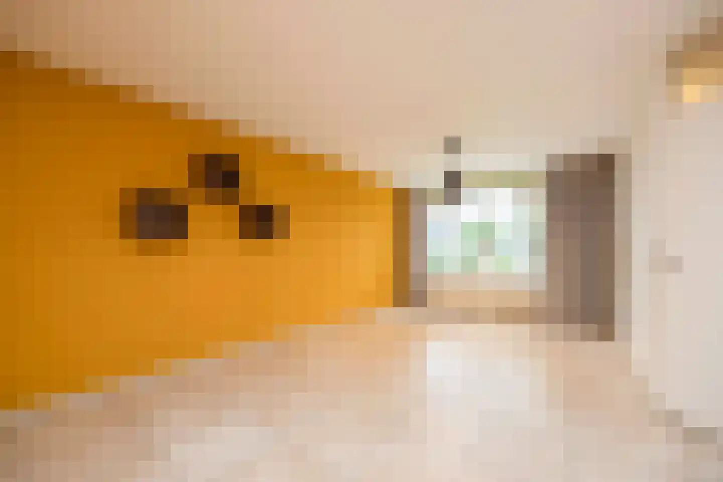 Haverhof 23 Oirschot thumbnail 9