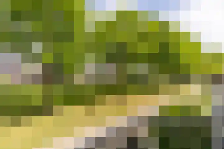 Haverhof 25 Oirschot thumbnail 21