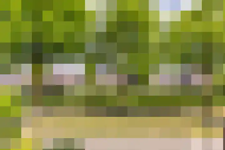 Haverhof 25 Oirschot thumbnail 22