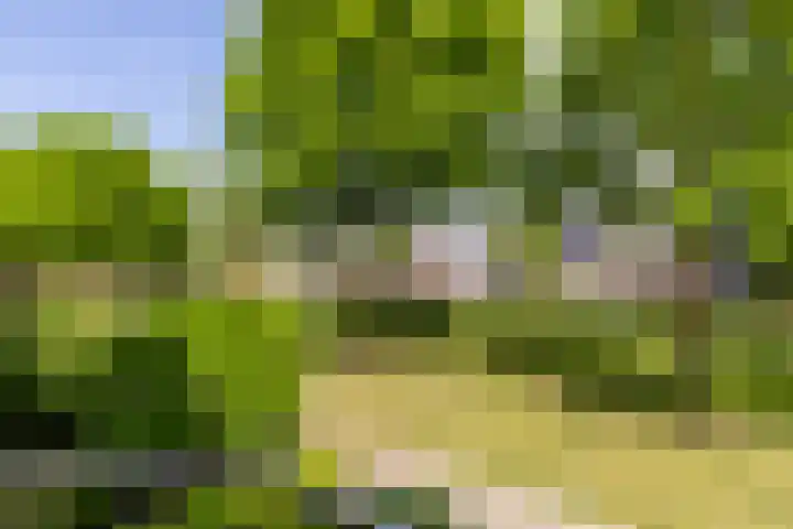 Haverhof 25 Oirschot thumbnail 23