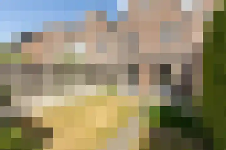 Haverhof 25 Oirschot thumbnail 31
