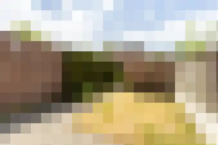 Haverhof 25 Oirschot thumbnail 32