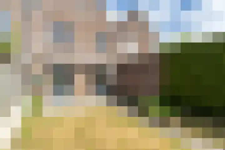 Haverhof 25 Oirschot thumbnail 34