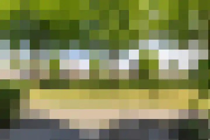 Haverhof 25 Oirschot thumbnail 35