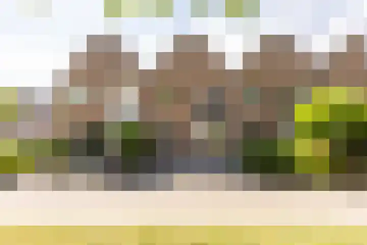 Haverhof 25 Oirschot thumbnail 4