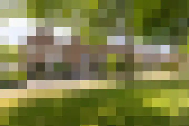 Haverhof 25 Oirschot thumbnail 40