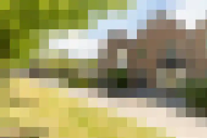 Haverhof 25 Oirschot thumbnail 41
