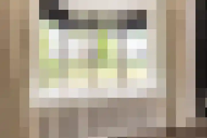 Haverhof 25 Oirschot thumbnail 9