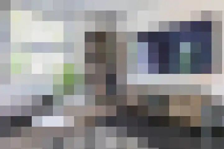 Haverhof 33 Berghem thumbnail 11