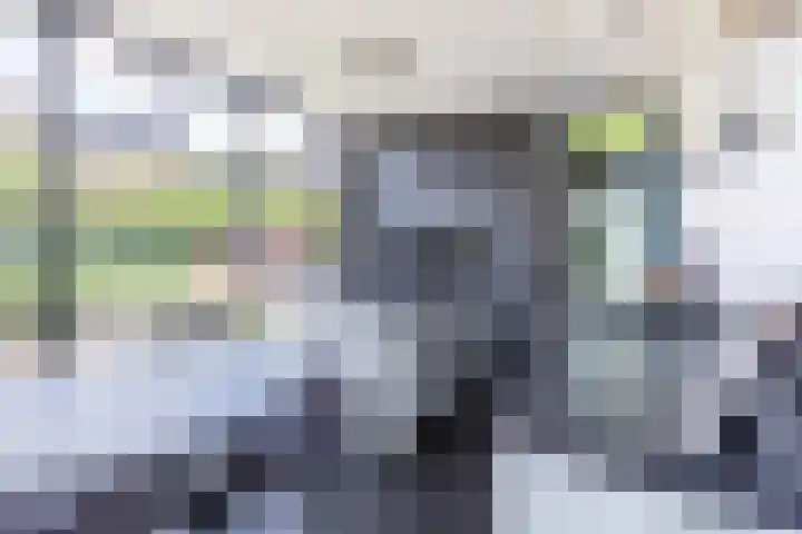 Haverhof 33 Berghem thumbnail 19