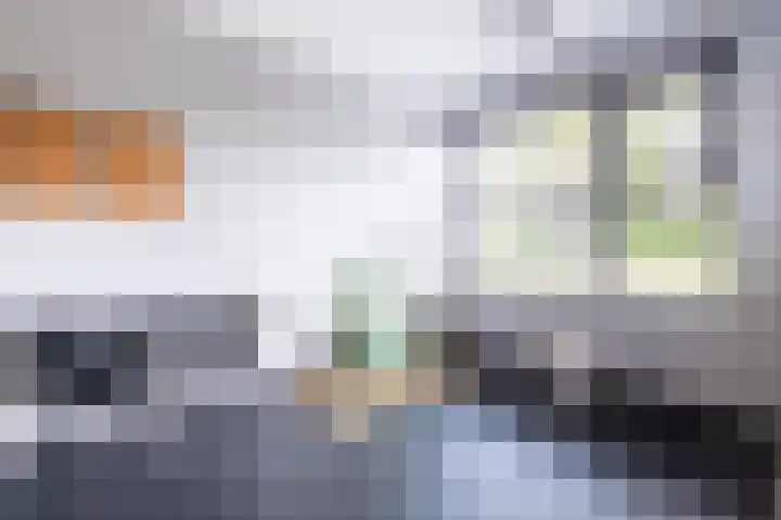Haverhof 33 Berghem thumbnail 26
