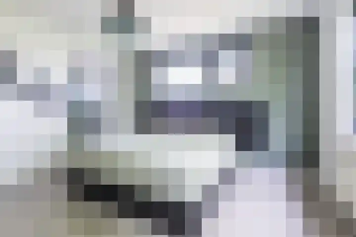 Haverhof 33 Berghem thumbnail 32
