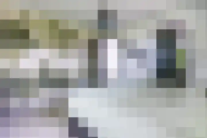 Haverhof 33 Berghem thumbnail 33