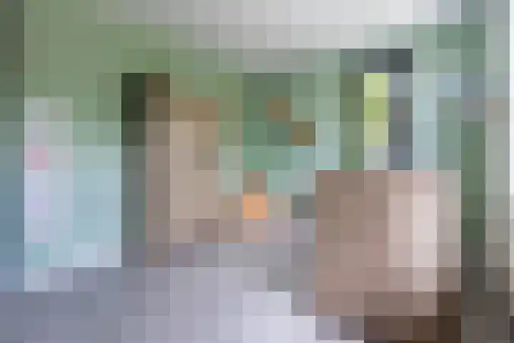 Haverhof 33 Berghem thumbnail 37