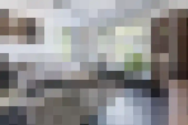 Haverhof 33 Berghem thumbnail 4