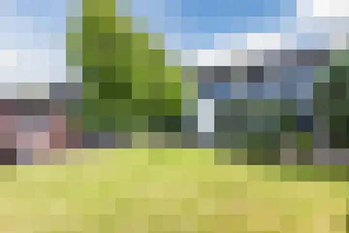 Haverhof 33 Berghem thumbnail 54