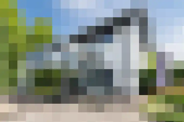Haverhof 33 Berghem thumbnail 55