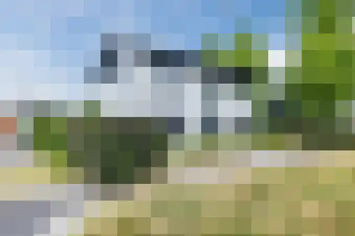 Haverhof 33 Berghem thumbnail 60