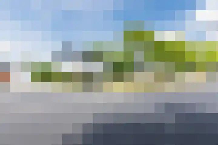 Haverhof 33 Berghem thumbnail 62
