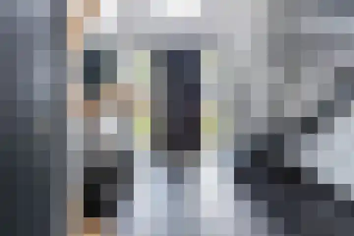 Haverhof 33 Berghem thumbnail 7