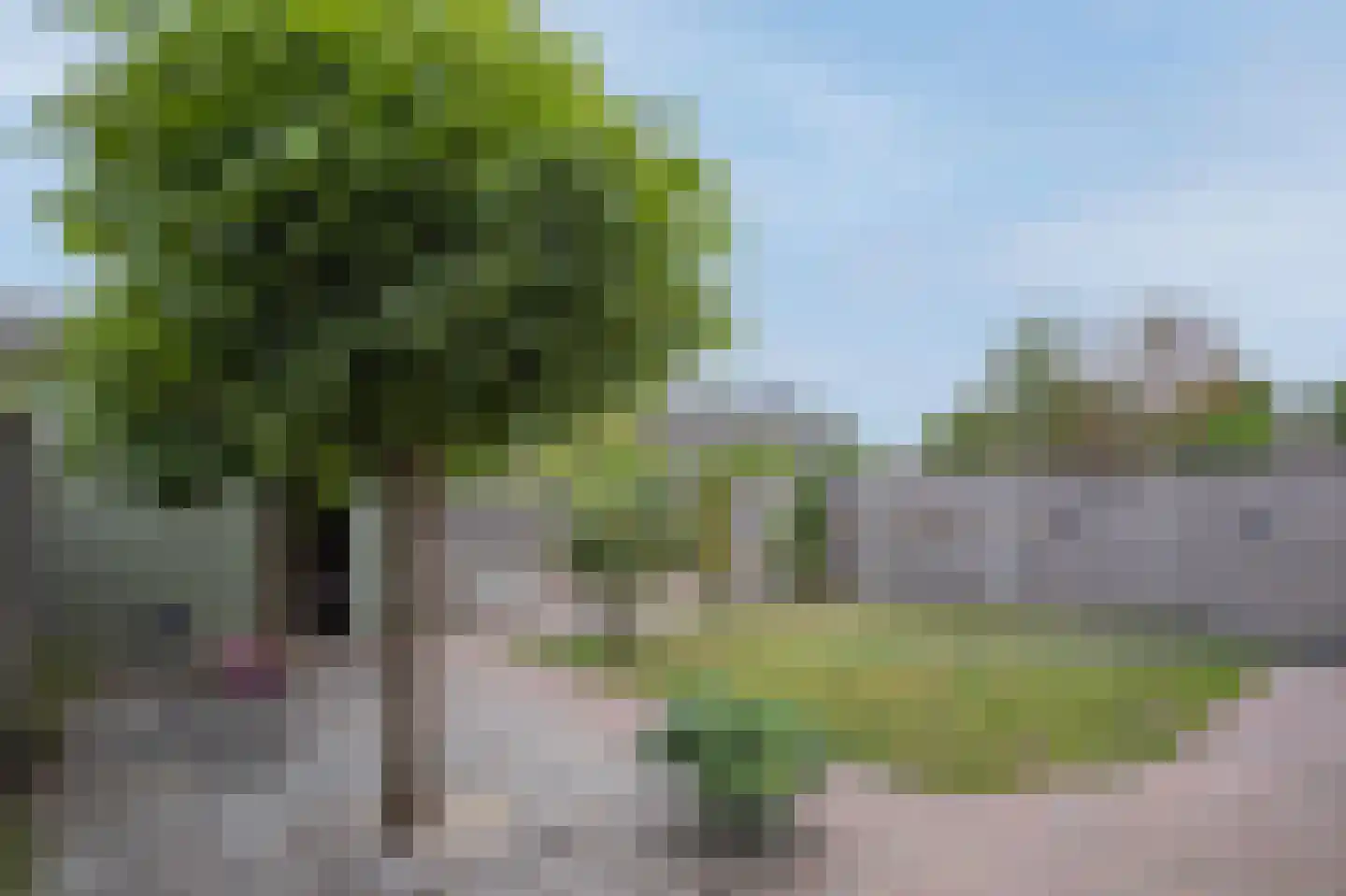 Haverhullen 17 Assen thumbnail 44