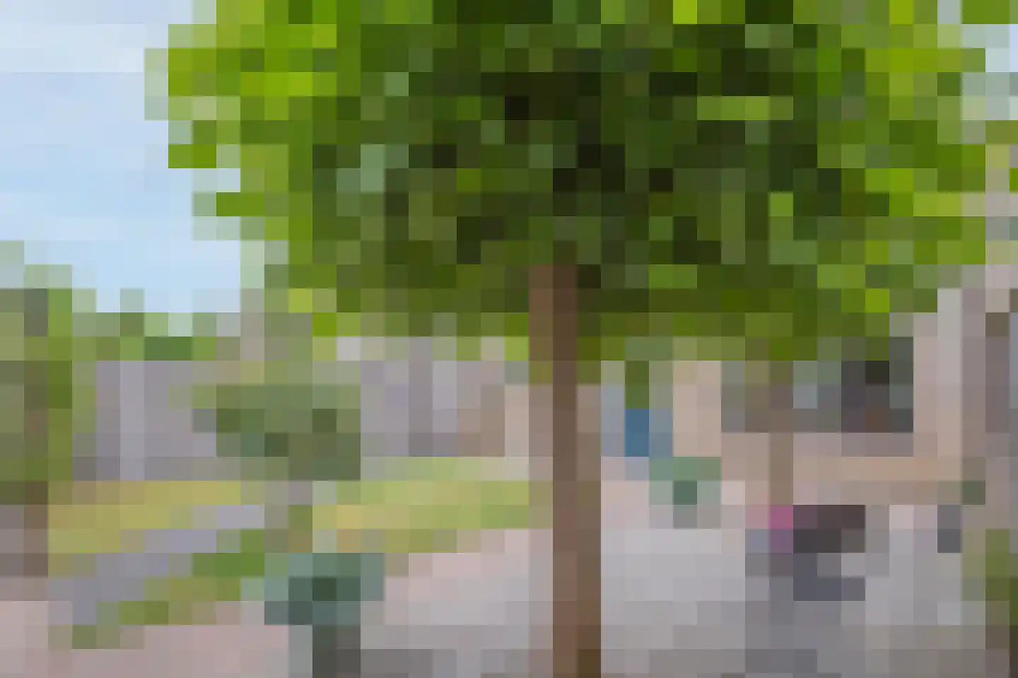 Haverhullen 17 Assen thumbnail 46