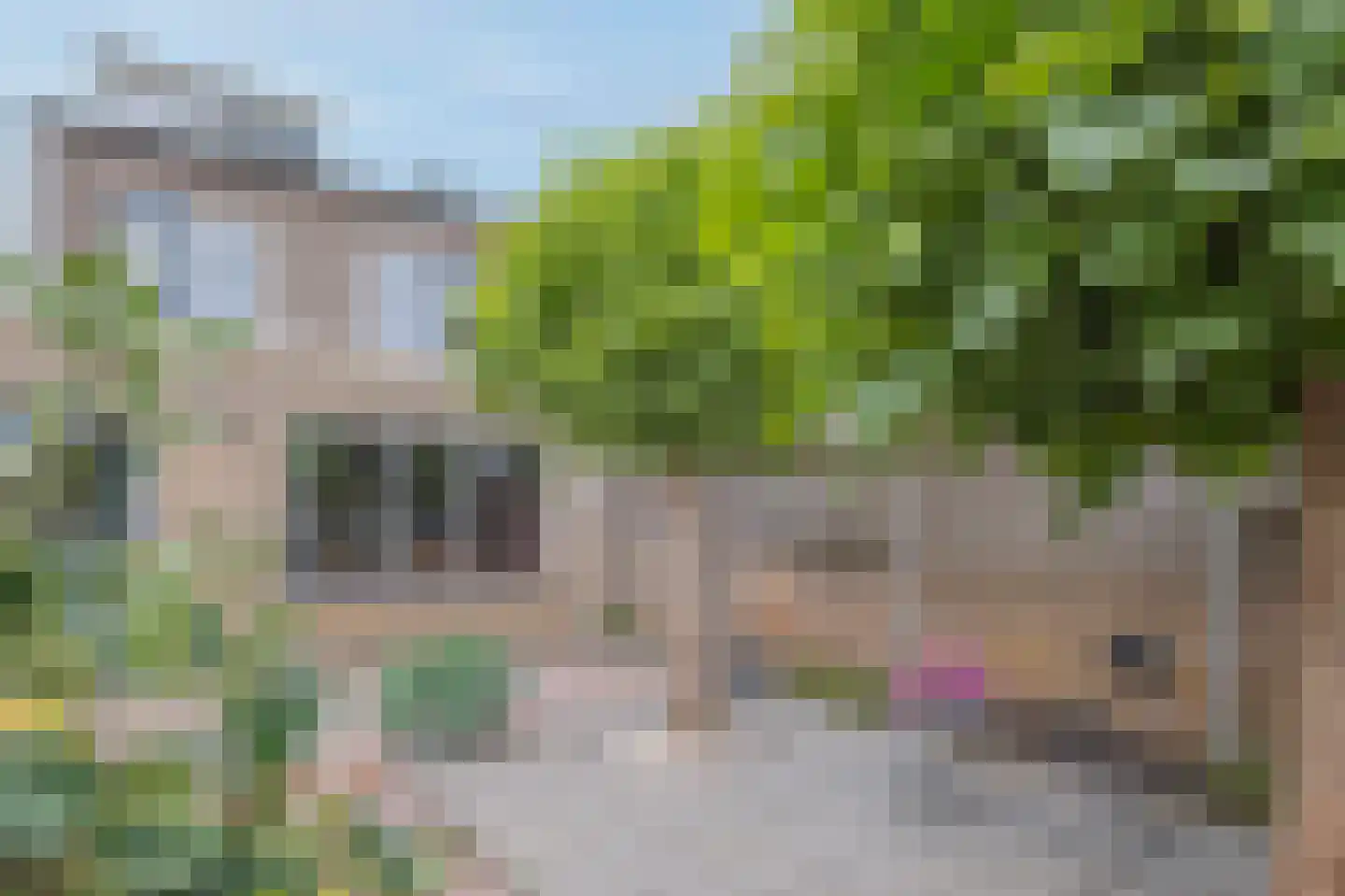 Haverhullen 17 Assen thumbnail 47