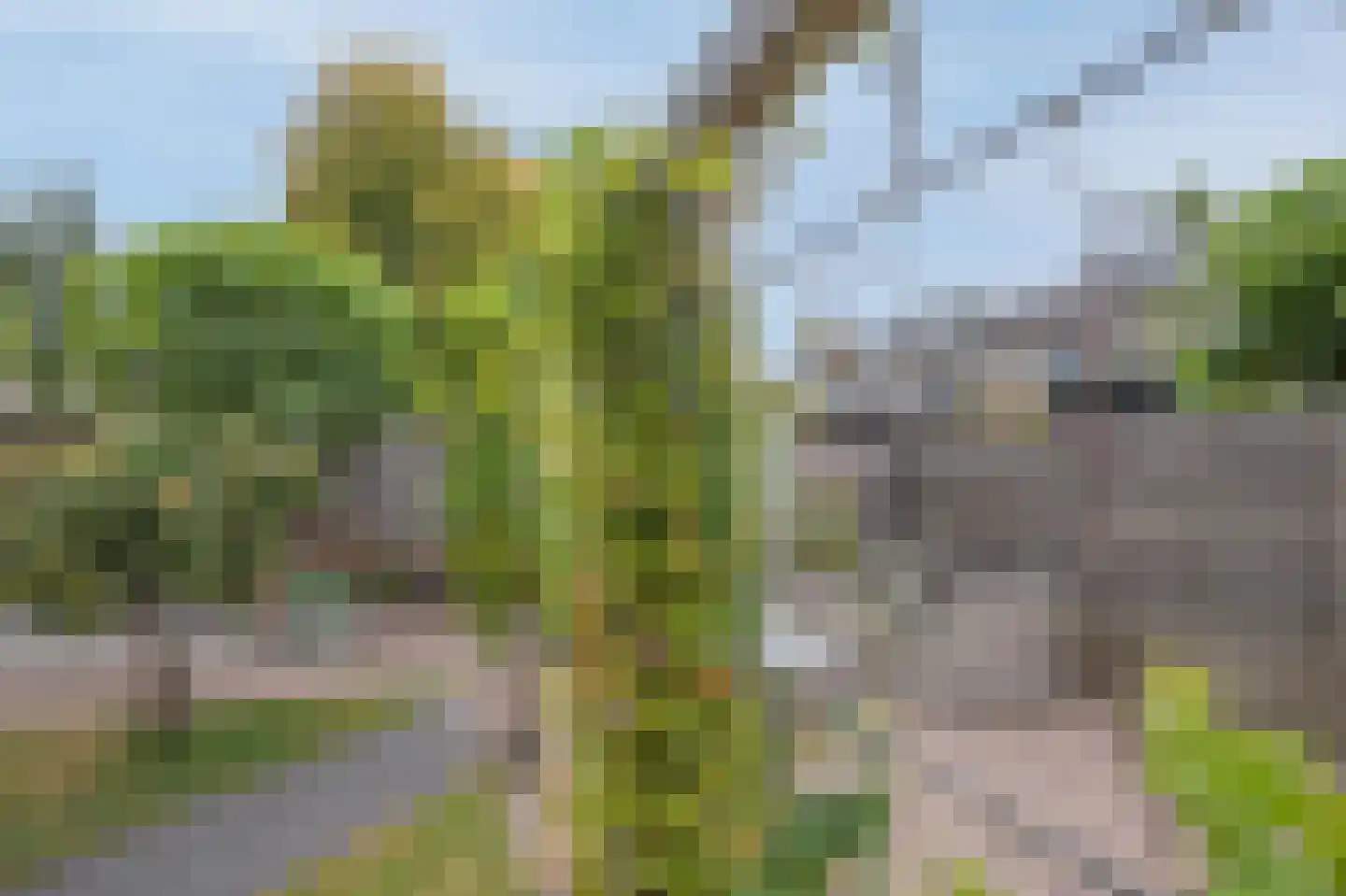 Haverhullen 17 Assen thumbnail 49