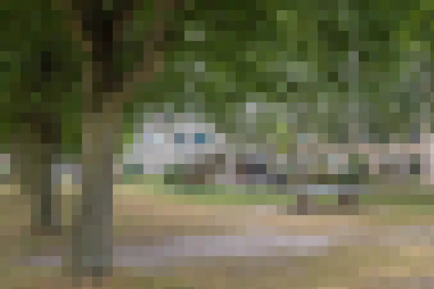Haverhullen 17 Assen thumbnail 9