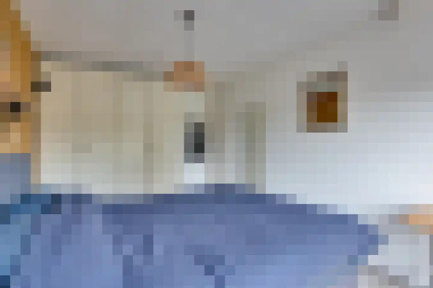 Haverhullen 3 Assen thumbnail 17