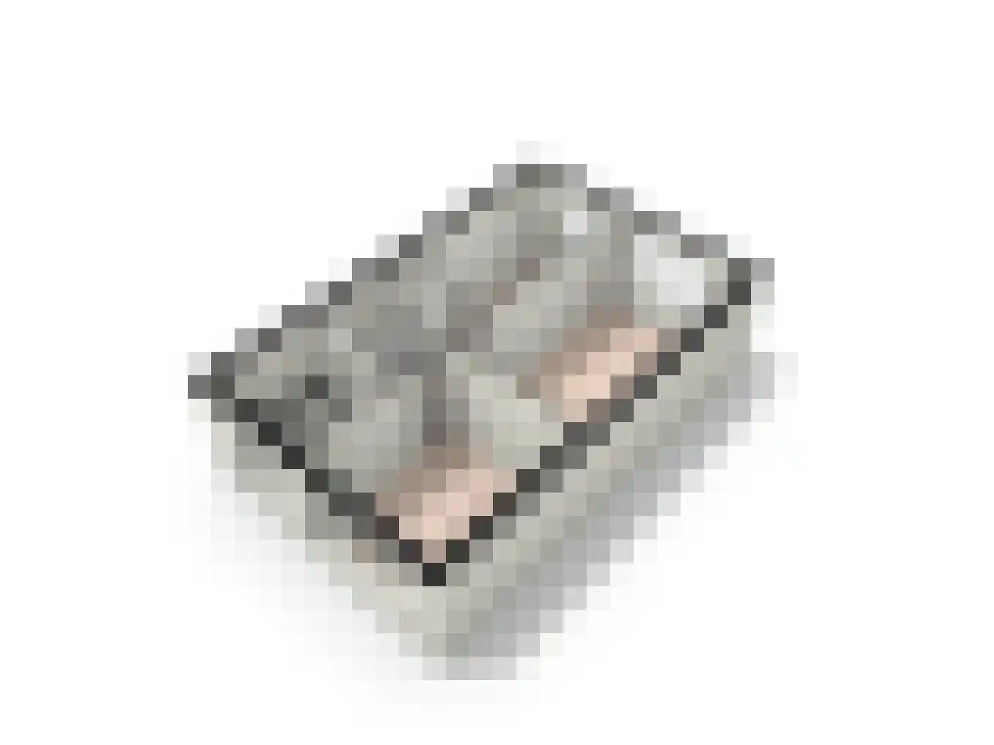 Haverhullen 3 Assen thumbnail 38