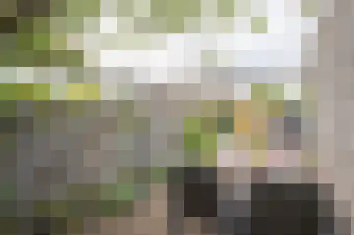 Haverhullen 41 Assen thumbnail 39