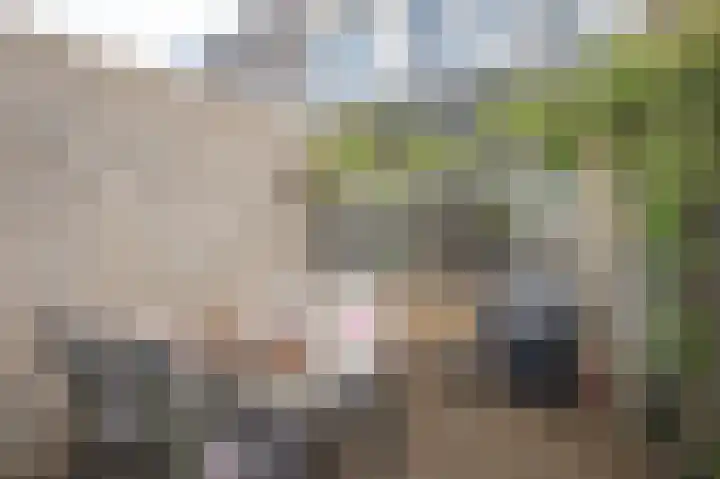 Haverhullen 41 Assen thumbnail 41