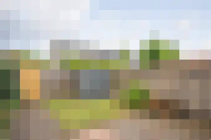 Haverhullen 41 Assen thumbnail 43