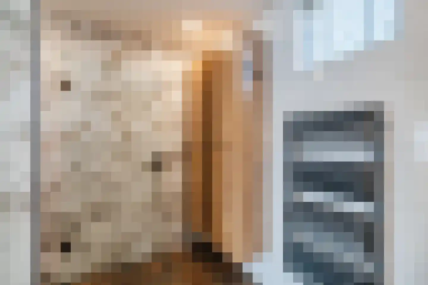 Haverkamp 11 Scherpenzeel thumbnail 18